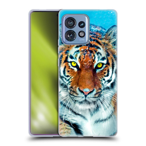 Aimee Stewart Animals Yellow Tiger Soft Gel Case for Motorola Moto Edge 40 Pro