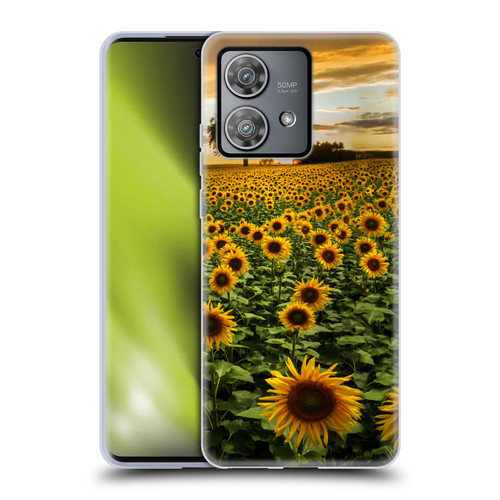 Celebrate Life Gallery Florals Big Sunflower Field Soft Gel Case for Motorola Edge 40 Neo 5G