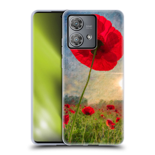 Celebrate Life Gallery Florals Red Flower Soft Gel Case for Motorola Edge 40 Neo 5G