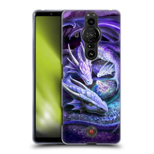 Anne Stokes Mix Fantasy Art Welcome Hatchling Soft Gel Case for Sony Xperia Pro-I