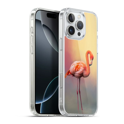 Simone Gatterwe Assorted Designs American Flamingo Soft Gel Case for Apple iPhone 16 Pro Max & MagSafe