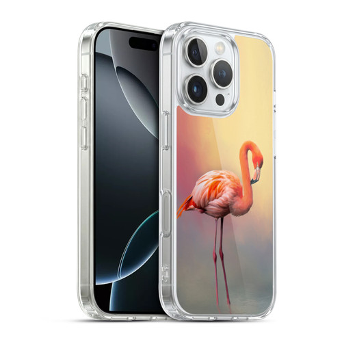 Simone Gatterwe Assorted Designs American Flamingo Soft Gel Case for Apple iPhone 16 Pro & MagSafe