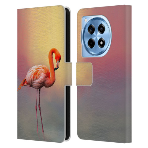 Simone Gatterwe Assorted Designs American Flamingo Leather Book Wallet Case Cover For OnePlus 12R