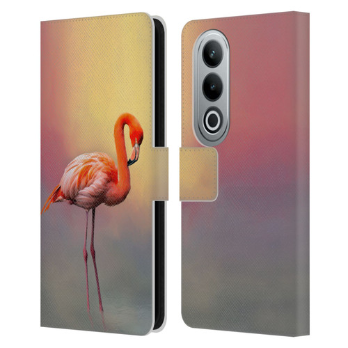 Simone Gatterwe Assorted Designs American Flamingo Leather Book Wallet Case Cover For OPPO OnePlus Ace 3V 5G