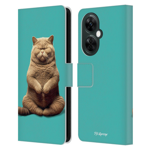 P.D. Moreno Furry Fun Artwork Sitting Cat Leather Book Wallet Case Cover For OnePlus Nord CE 3 Lite 5G
