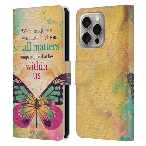 Duirwaigh Insects Butterfly 2 Leather Book Wallet Case Cover For Apple iPhone 16 Pro