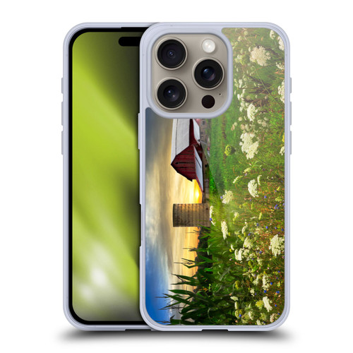 Celebrate Life Gallery Florals Sunset Lace Pastures Soft Gel Case for Apple iPhone 16 Pro