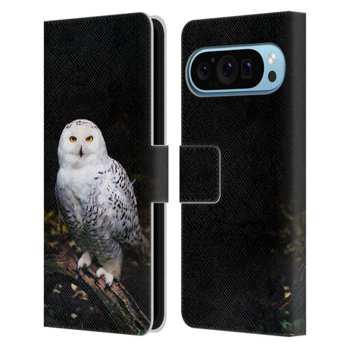 Patrik Lovrin Animal Portraits Majestic Winter Snowy Owl Leather Book Wallet Case Cover For Google Pixel 9 / Pixel 9 Pro