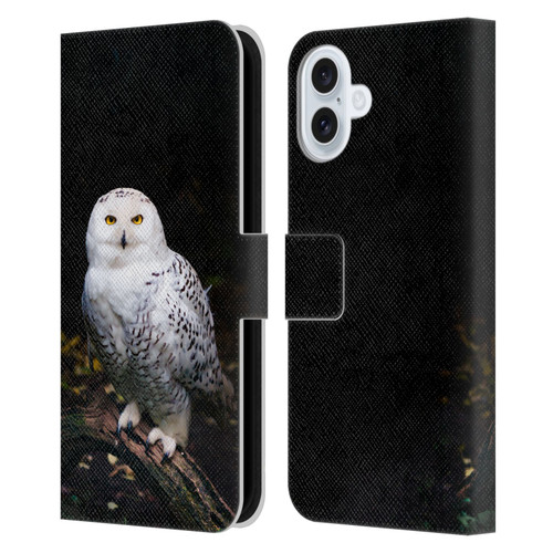 Patrik Lovrin Animal Portraits Majestic Winter Snowy Owl Leather Book Wallet Case Cover For Apple iPhone 16 Plus