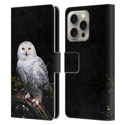 Patrik Lovrin Animal Portraits Majestic Winter Snowy Owl Leather Book Wallet Case Cover For Apple iPhone 16 Pro