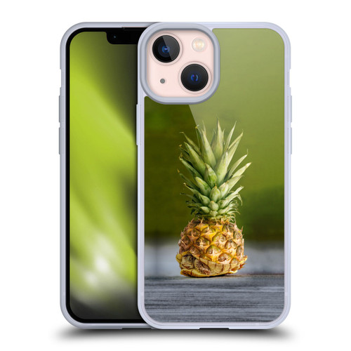 Pixelmated Animals Surreal Pets Pineapple Turtle Soft Gel Case for Apple iPhone 13 Mini