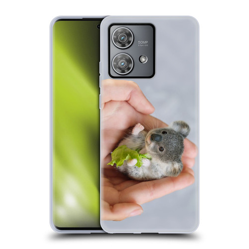Pixelmated Animals Surreal Pets Baby Koala Soft Gel Case for Motorola Edge 40 Neo 5G