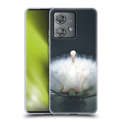Pixelmated Animals Surreal Pets Peacock Wish Soft Gel Case for Motorola Edge 40 Neo 5G