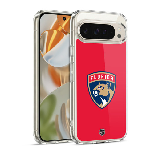NHL Florida Panthers Plain Soft Gel Case for Google Pixel 9 / Pixel 9 Pro