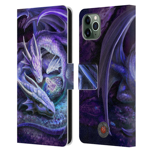 Anne Stokes Mix Fantasy Art Welcome Hatchling Leather Book Wallet Case Cover For Apple iPhone 11 Pro Max