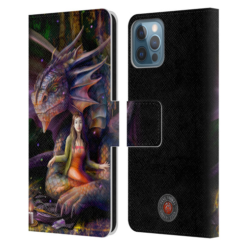 Anne Stokes Mix Fantasy Art Spirit Dragon Leather Book Wallet Case Cover For Apple iPhone 12 / iPhone 12 Pro