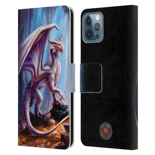 Anne Stokes Mix Fantasy Art Treasure Trove Leather Book Wallet Case Cover For Apple iPhone 12 / iPhone 12 Pro