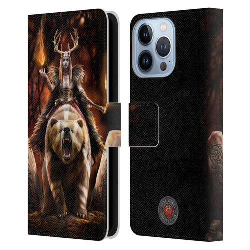 Anne Stokes Mix Fantasy Art Viking Witch Leather Book Wallet Case Cover For Apple iPhone 13 Pro