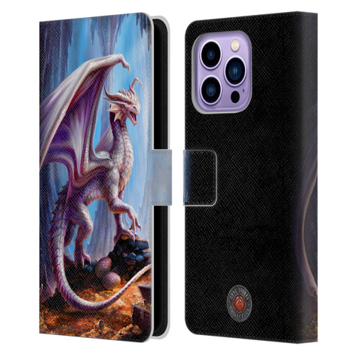 Anne Stokes Mix Fantasy Art Treasure Trove Leather Book Wallet Case Cover For Apple iPhone 14 Pro Max