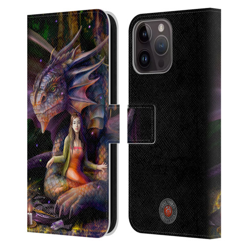 Anne Stokes Mix Fantasy Art Spirit Dragon Leather Book Wallet Case Cover For Apple iPhone 15 Pro Max