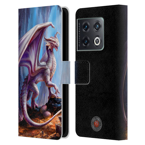Anne Stokes Mix Fantasy Art Treasure Trove Leather Book Wallet Case Cover For OnePlus 10 Pro