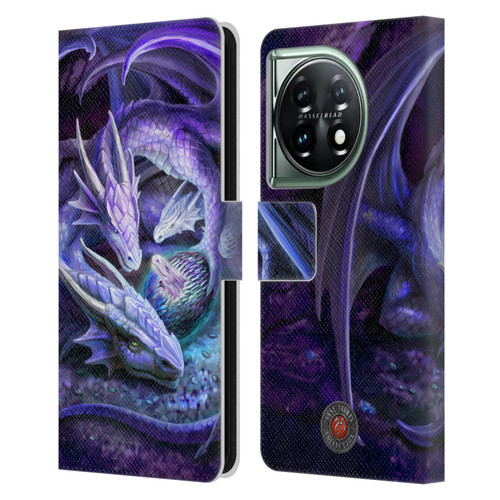 Anne Stokes Mix Fantasy Art Welcome Hatchling Leather Book Wallet Case Cover For OnePlus 11 5G