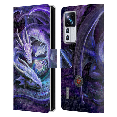 Anne Stokes Mix Fantasy Art Welcome Hatchling Leather Book Wallet Case Cover For Xiaomi 12T Pro
