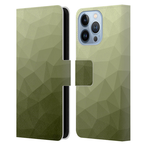 PLdesign Geometric Patterns Army Green Gradient Mesh Leather Book Wallet Case Cover For Apple iPhone 13 Pro