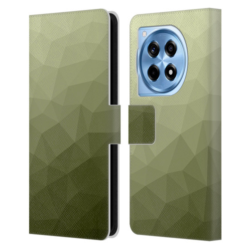 PLdesign Geometric Patterns Army Green Gradient Mesh Leather Book Wallet Case Cover For OnePlus 12R