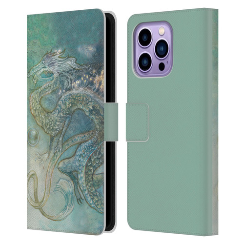 Stephanie Law Graphics Dragon Leather Book Wallet Case Cover For Apple iPhone 14 Pro Max