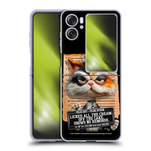 D.S. Valori Kitty And Puppy Kitty Licked The Cream Soft Gel Case for OPPO Find N2 Flip