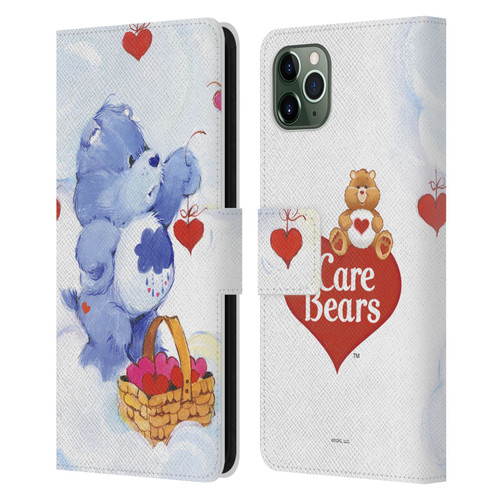Care Bears Classic Grumpy Leather Book Wallet Case Cover For Apple iPhone 11 Pro Max