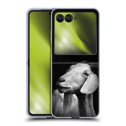 Dorit Fuhg Animals & Urban Life Goat Soft Gel Case for Motorola Razr 40 Ultra / Razr+ 2023