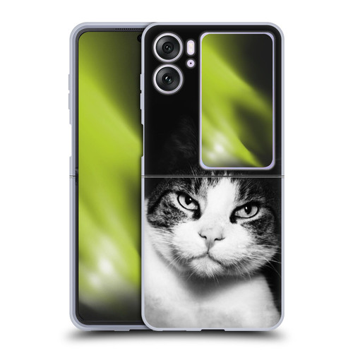 Dorit Fuhg Animals & Urban Life Cat Stare Soft Gel Case for OPPO Find N2 Flip