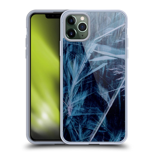 Dorit Fuhg Mystic Nature Blue Grass Soft Gel Case for Apple iPhone 11 Pro Max