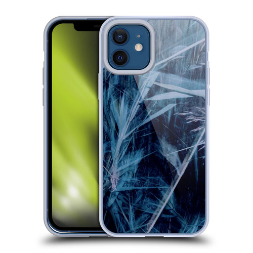 Dorit Fuhg Mystic Nature Blue Grass Soft Gel Case for Apple iPhone 12 / iPhone 12 Pro