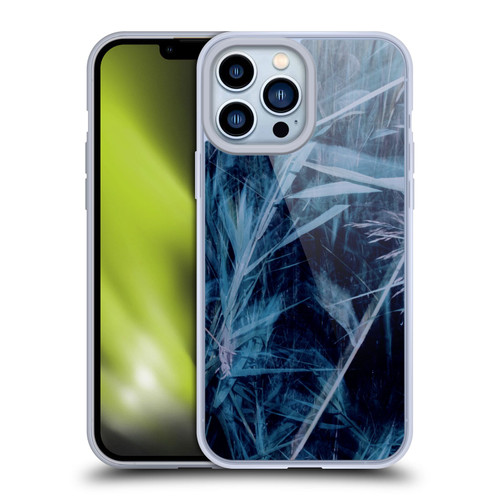 Dorit Fuhg Mystic Nature Blue Grass Soft Gel Case for Apple iPhone 13 Pro Max