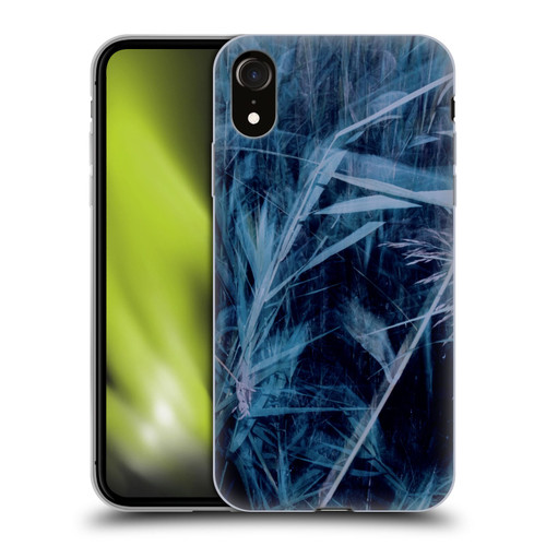 Dorit Fuhg Mystic Nature Blue Grass Soft Gel Case for Apple iPhone XR