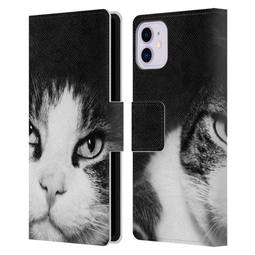 Dorit Fuhg Animals & Urban Life Cat Stare Leather Book Wallet Case Cover For Apple iPhone 11