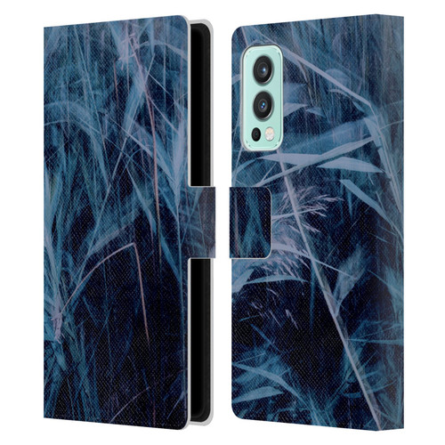 Dorit Fuhg Mystic Nature Blue Grass Leather Book Wallet Case Cover For OnePlus Nord 2 5G