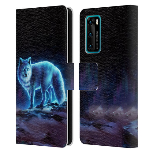 Jonas "JoJoesArt" Jödicke Wildlife Ice Fox Leather Book Wallet Case Cover For Huawei P40 5G