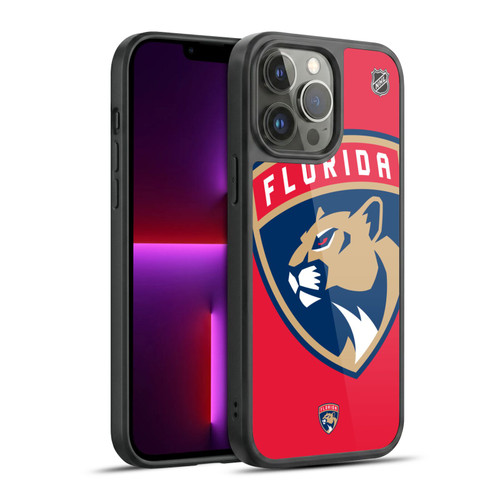 NHL Florida Panthers Oversized Gel Armour Case For Apple iPhone 13 Pro Max