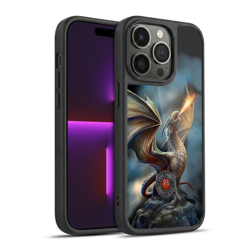 Anne Stokes Dragons Noble Gel Armour Case For Apple iPhone 14 Pro