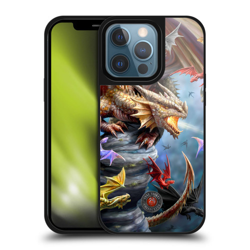 Anne Stokes Dragons 4 Clan Gel Armour Case For Apple iPhone 13 Pro