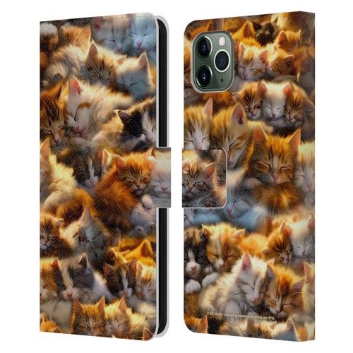 D.S. Valori Kitty And Puppy Kitty Dreams Leather Book Wallet Case Cover For Apple iPhone 11 Pro Max
