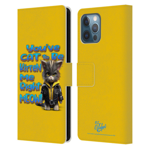 D.S. Valori Kitty And Puppy You've Cat To Be Kitten Me Leather Book Wallet Case Cover For Apple iPhone 12 Pro Max