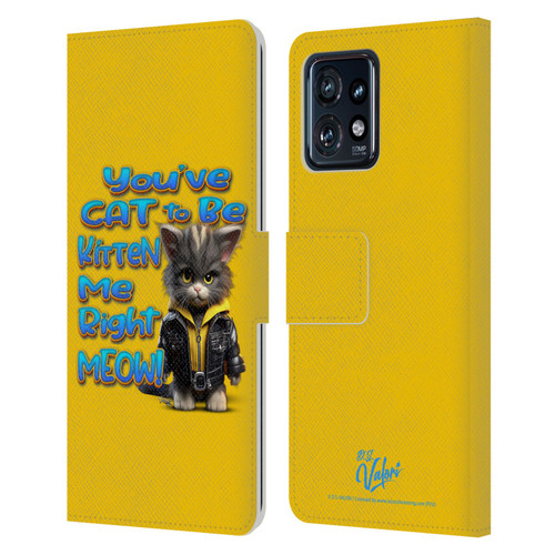 D.S. Valori Kitty And Puppy You've Cat To Be Kitten Me Leather Book Wallet Case Cover For Motorola Moto Edge 40 Pro/Plus 2023