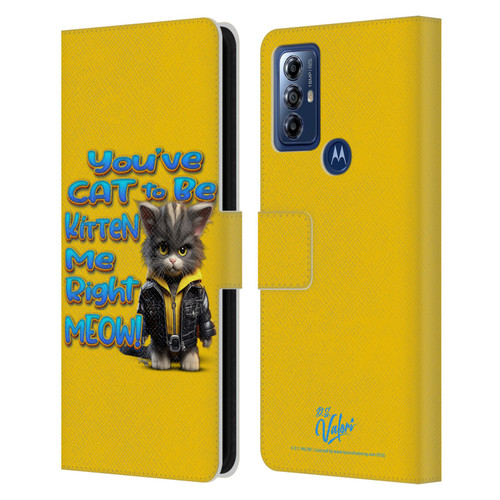 D.S. Valori Kitty And Puppy You've Cat To Be Kitten Me Leather Book Wallet Case Cover For Motorola Moto G Play (2023)