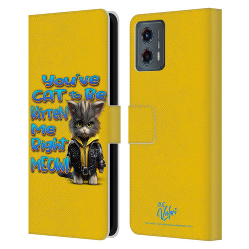 D.S. Valori Kitty And Puppy You've Cat To Be Kitten Me Leather Book Wallet Case Cover For Motorola Moto G (2023)