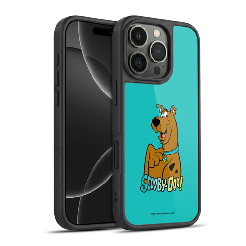 Scooby-Doo Scooby Scoob Gel Armour Case For Apple iPhone 16 Pro
